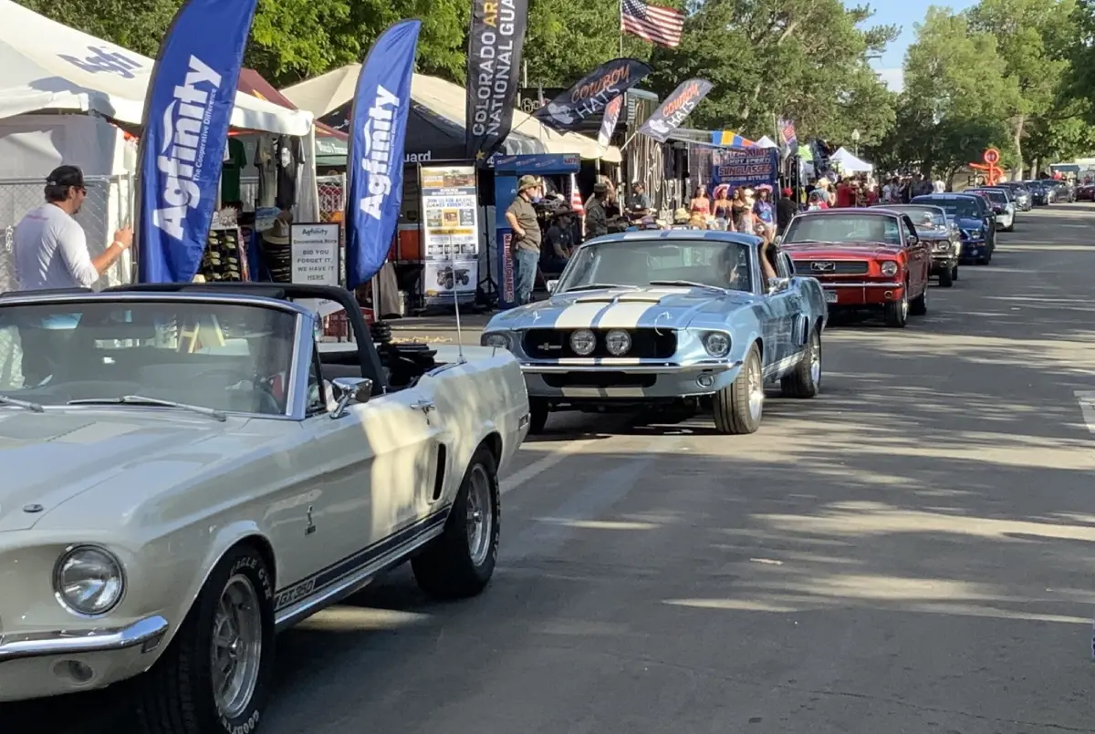 IMG_1515-scaled-e1739861338386